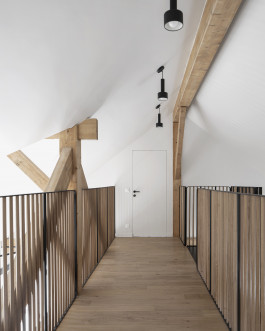 Vue d'un patio suspendu sous pente par le studio d'architecture Altobraco en collaboration avec Alexis Chappey et Jung Architectures et photographié par Juliette Alexandre 